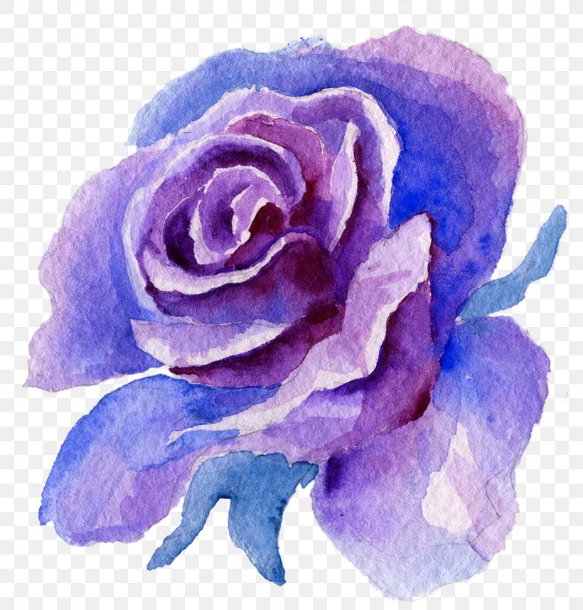 Blue Rose, PNG, 800x858px, Blue Rose, Blue, Flower, Garden Roses, Hybrid Tea Rose Download Free