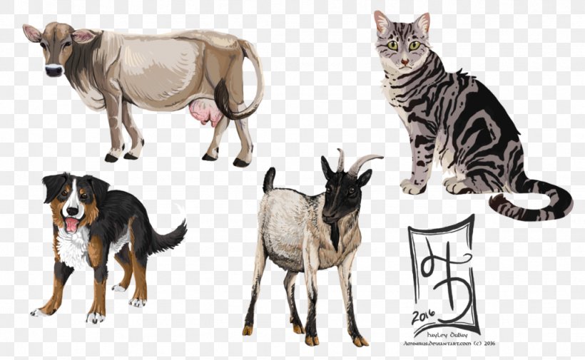 Cat Dog Animal Pet Farm, PNG, 1024x631px, Cat, Animal, Breed, Carnivoran, Cat Like Mammal Download Free