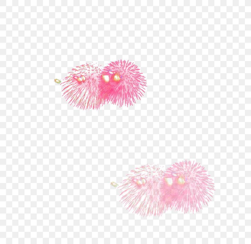 Pink Fireworks, PNG, 800x800px, Pink, Chinese New Year, Color, Fireworks, Flower Download Free