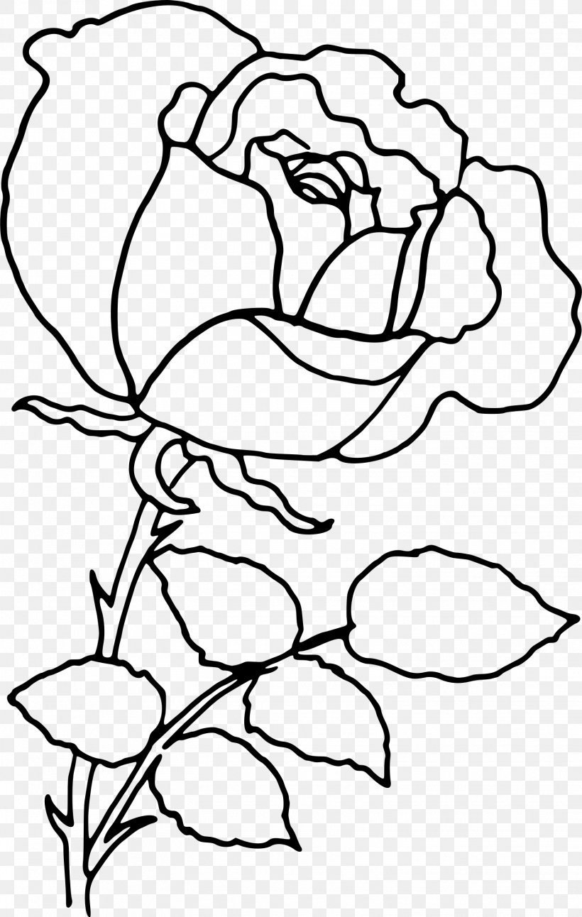 Rose Flower Drawing Clip Art, PNG, 1523x2400px, Rose, Area, Art, Artwork, Autocad Dxf Download Free