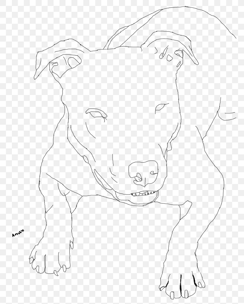American Pit Bull Terrier Puppy Drawing Coloring Book, PNG, 768x1024px, Pit  Bull, American Pit Bull Terrier,