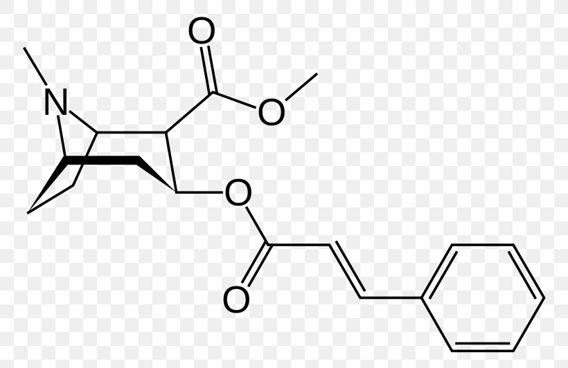 Methylecgonine Cinnamate Tropane Alkaloid Cinnamic Acid, PNG, 800x532px, Watercolor, Cartoon, Flower, Frame, Heart Download Free