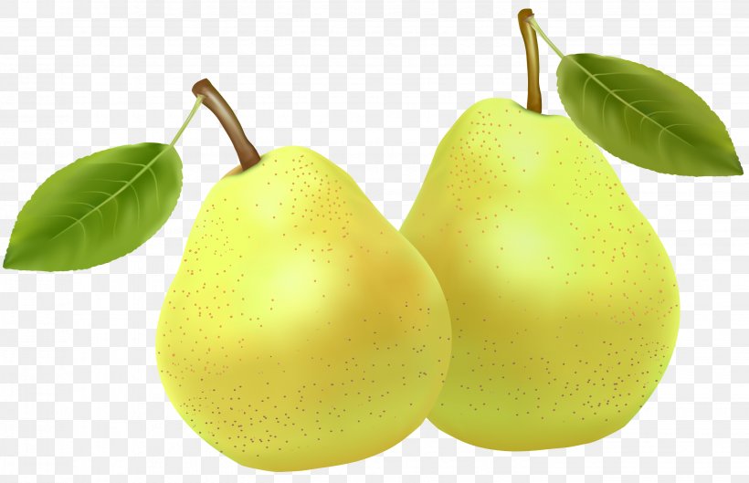 Pear Fruit Clipping Path Clip Art, PNG, 2857x1844px, Pear, Blog, Citrus, Clipping Path, Food Download Free