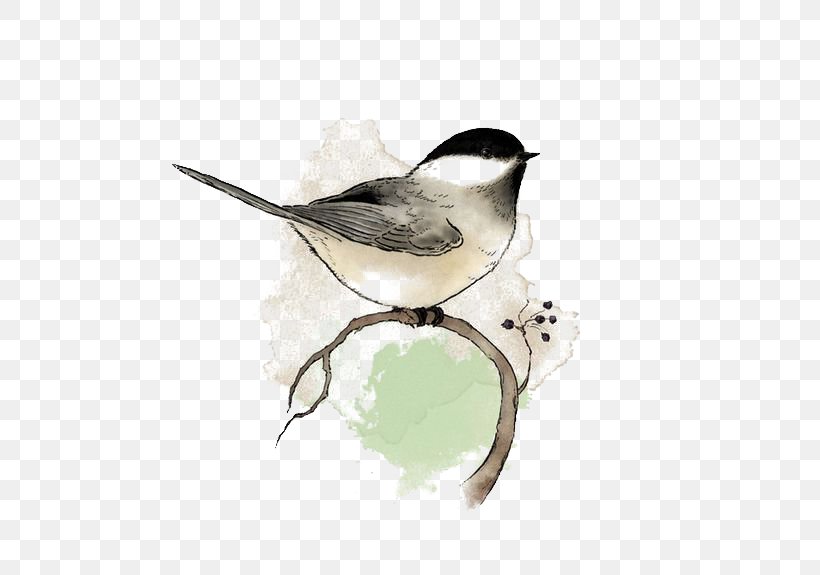 Birds, PNG, 564x575px, Bird, Art, Beak, Bird Food, Bird Supply Download Free