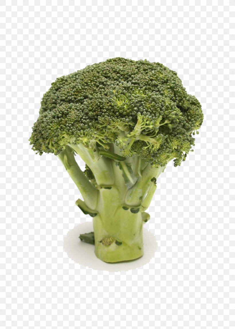 Broccoli Leaf Vegetable Vegetable Food Plant, PNG, 1024x1435px, Broccoli, Broccoflower, Cabbage, Food, Grass Download Free