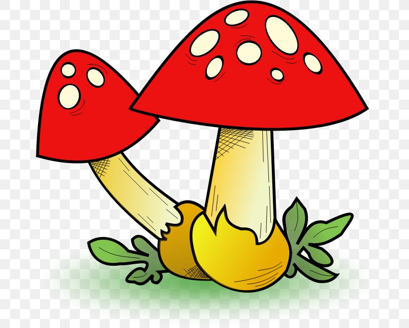 Fungus Edible Mushroom Clip Art, PNG, 675x658px, Fungus, Agaricaceae, Agaricus, Artwork, Edible Mushroom Download Free