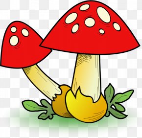 Mushroom - Fungus Edible Mushroom Clip Art PNG