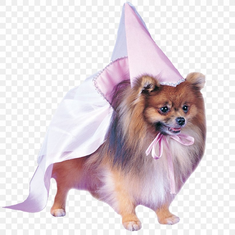 Halloween Costume Pet Dress Pomeranian, PNG, 1200x1200px, Costume, Babydoll, Carnivoran, Clothing, Companion Dog Download Free