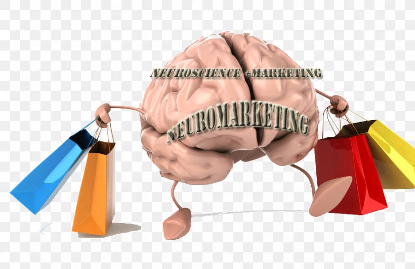 Neuromarketing Neuroscience Brain Color Psychology, PNG, 892x580px, Neuromarketing, Antonio Damasio, Brain, Color Psychology, Consumer Download Free