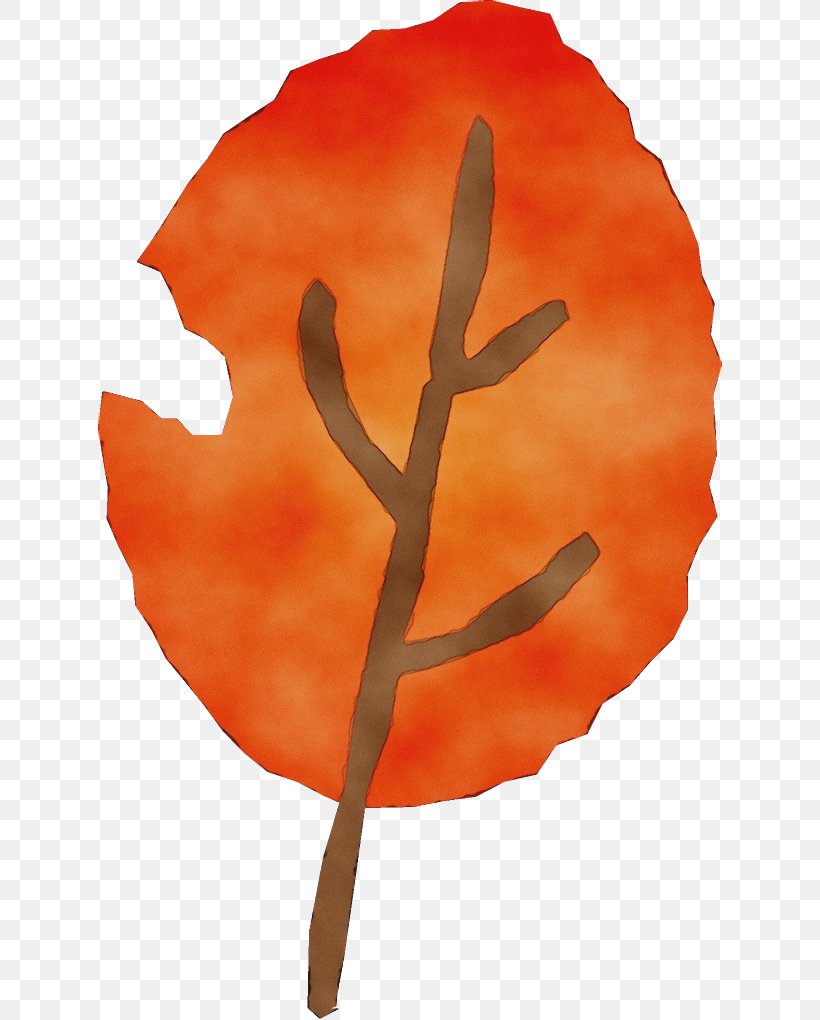 Orange, PNG, 624x1020px, Watercolor, Flower, Leaf, Orange, Paint Download Free