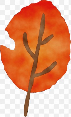 Plant Stem Flower - Orange PNG