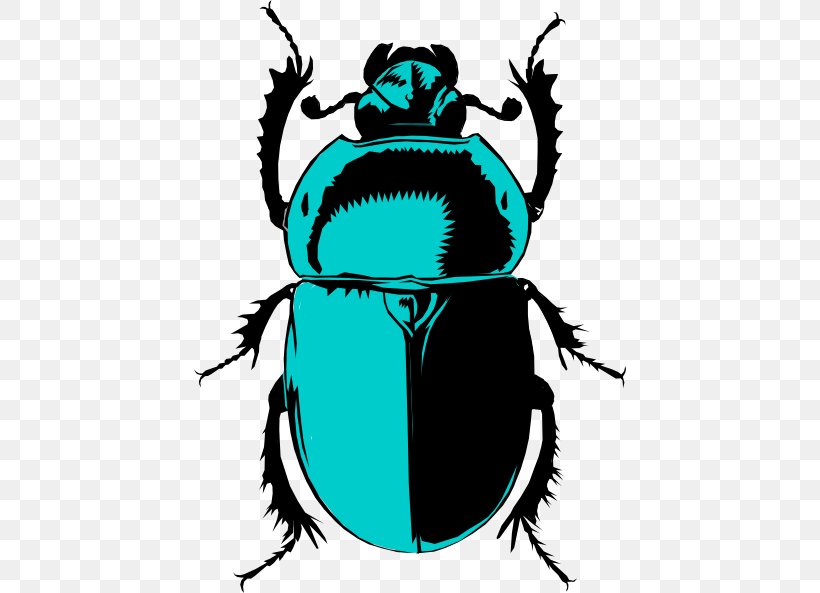 Beetle Insect, PNG, 432x593px, Beetle, Blister Beetles, Blowflies, Cetoniidae, Darkling Beetles Download Free