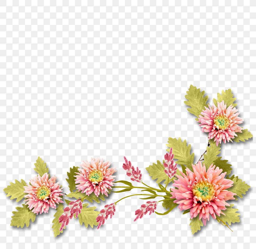 Floral Design Flower Blog Clip Art, PNG, 800x800px, Floral Design, Blog, Chrysanths, Cut Flowers, Daisy Family Download Free