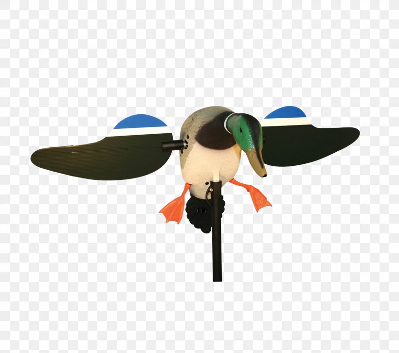MOJO Mallard Drake Decoy Duck Decoy, PNG, 1600x1417px, Mallard, Avianx Topflight, Decoy, Duck, Duck Decoy Download Free