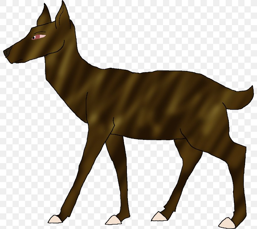 Mustang Canidae Dog Deer Antelope, PNG, 800x730px, Mustang, Animal, Antelope, Canidae, Carnivoran Download Free