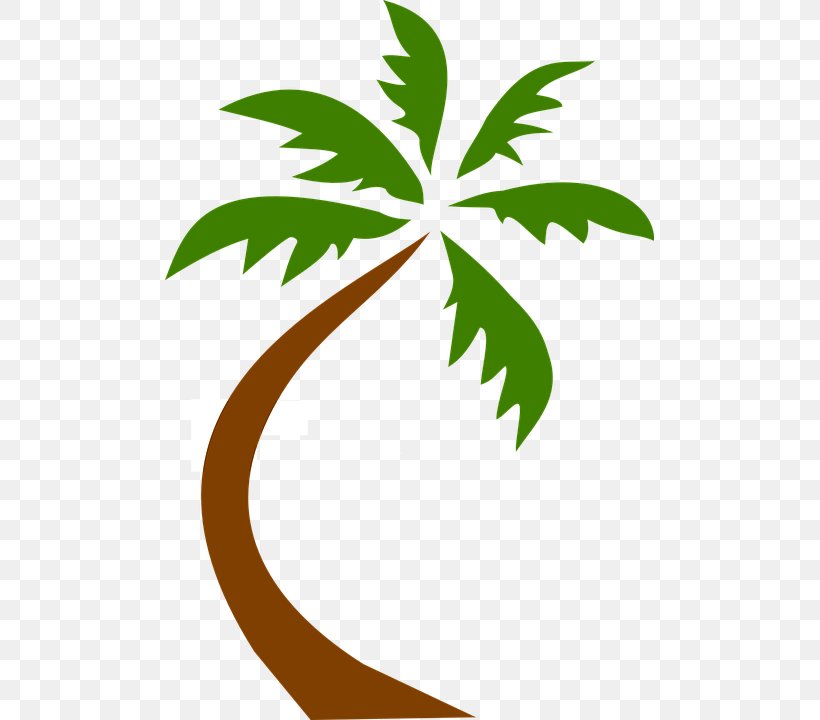 Palm Trees Clip Art Image Coconut, PNG, 489x720px, Palm Trees, Beach, Branch, Coconut, Date Palm Download Free