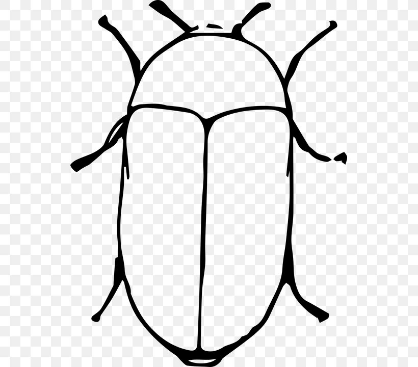 Beetle Ant Image Cartoon Vector Graphics, PNG, 543x720px, Beetle, Ant, Black, Black And White, Blackandwhite Download Free