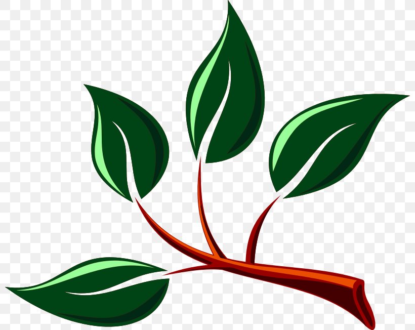 Branch Clip Art Tree Leaf Image, PNG, 800x652px, Branch, Artwork, Dogwood, Flora, Flower Download Free
