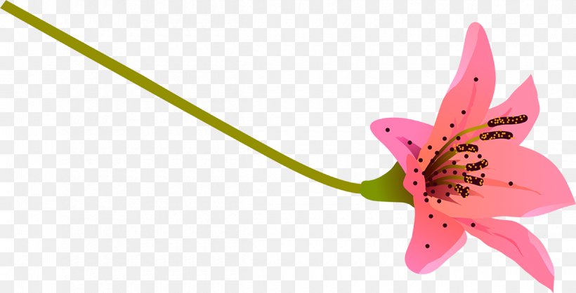 Butterfly Pink M Flowering Plant Plant Stem, PNG, 1200x612px, Butterfly, Butterflies And Moths, Flora, Flower, Flowering Plant Download Free