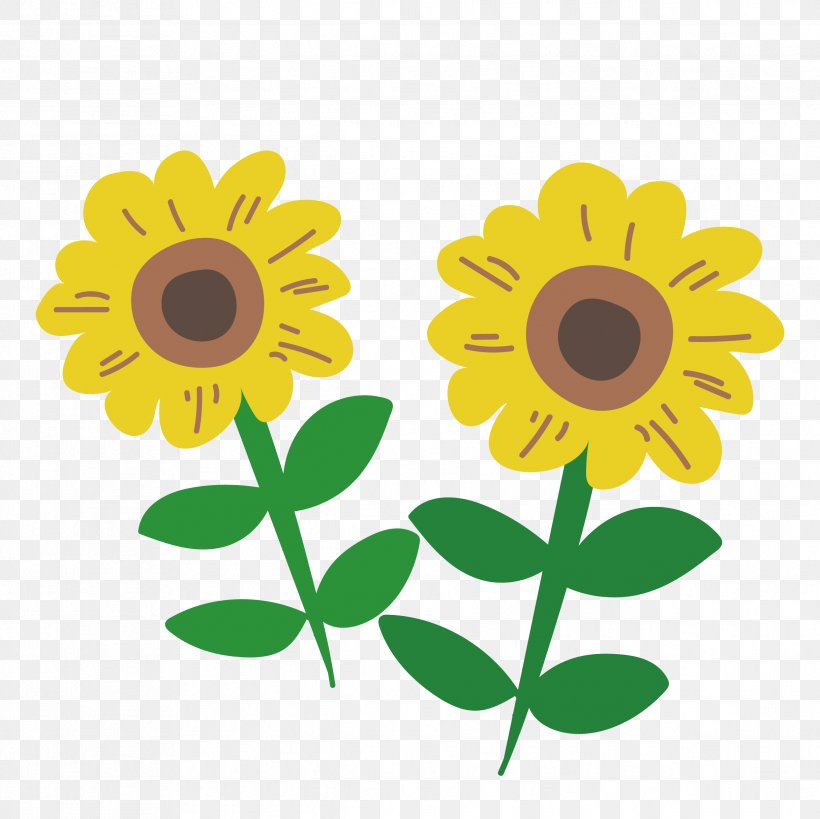 Common Sunflower Floral Design, PNG, 2433x2433px, Common Sunflower, Daisy, Daisy Family, Dentist, Floral Design Download Free