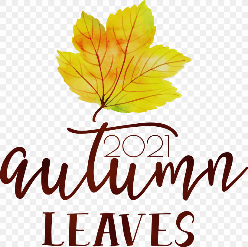 Leaf Flower Tree Font Meter, PNG, 3000x2999px, Autumn Leaves, Autumn, Biology, Fall, Flower Download Free