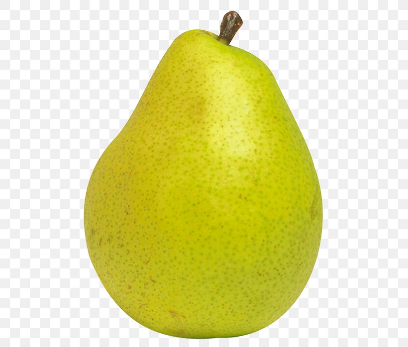 Pear Fruit Clip Art, PNG, 516x698px, Pear, Apple, Asian Pear, Citron, Citrus Download Free