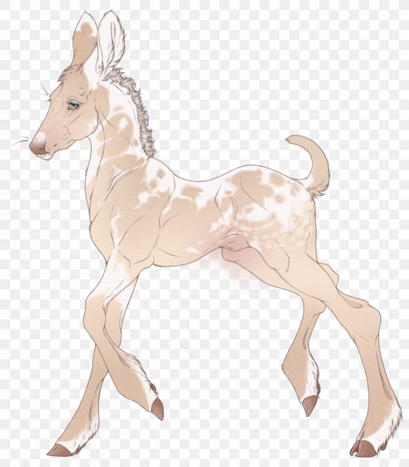 Reindeer Horse Foal Antelope Goat, PNG, 836x955px, Reindeer, Animal Figure, Antelope, Deer, Fauna Download Free