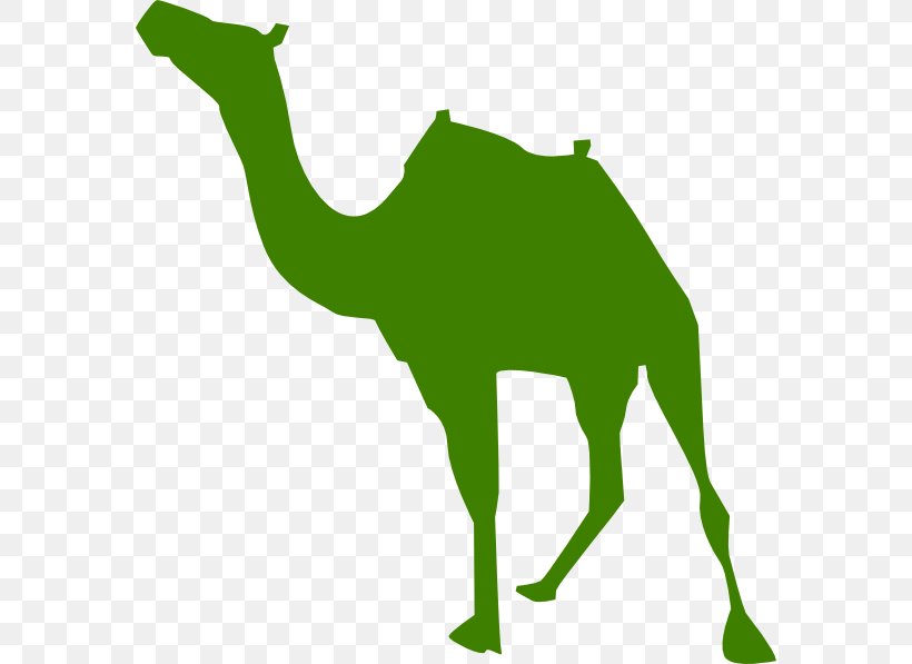 Travel Blue Background, PNG, 576x597px, Travel, Agra, Arabian Camel, Camel, Camelid Download Free