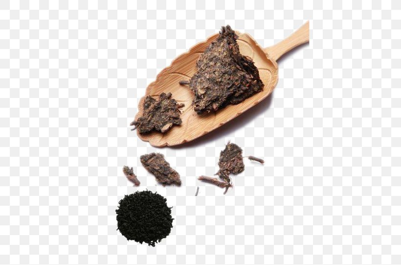 Fermented Tea Anhua County Chenpi Black Tea, PNG, 519x541px, Tea, Anhua County, Black Tea, Camellia Sinensis, Chenpi Download Free