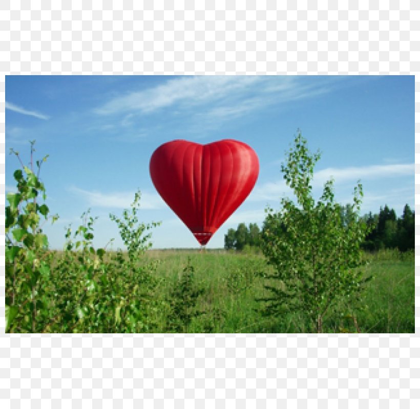 Flight Hot Air Ballooning Aerostat, PNG, 800x800px, Flight, Aerostat, Air Transportation, Armavir Russia, Balloon Download Free
