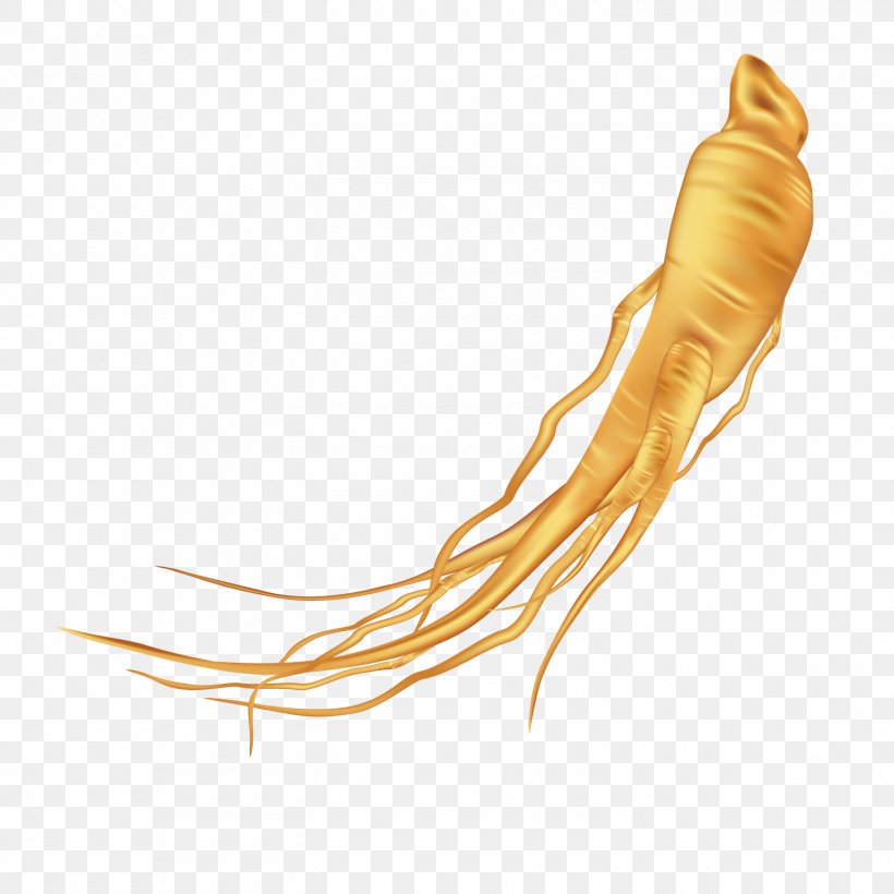 Ginseng Vector Diagram, PNG, 1500x1500px, Dietary Supplement, Arm, Asian Ginseng, Chart, Diagram Download Free