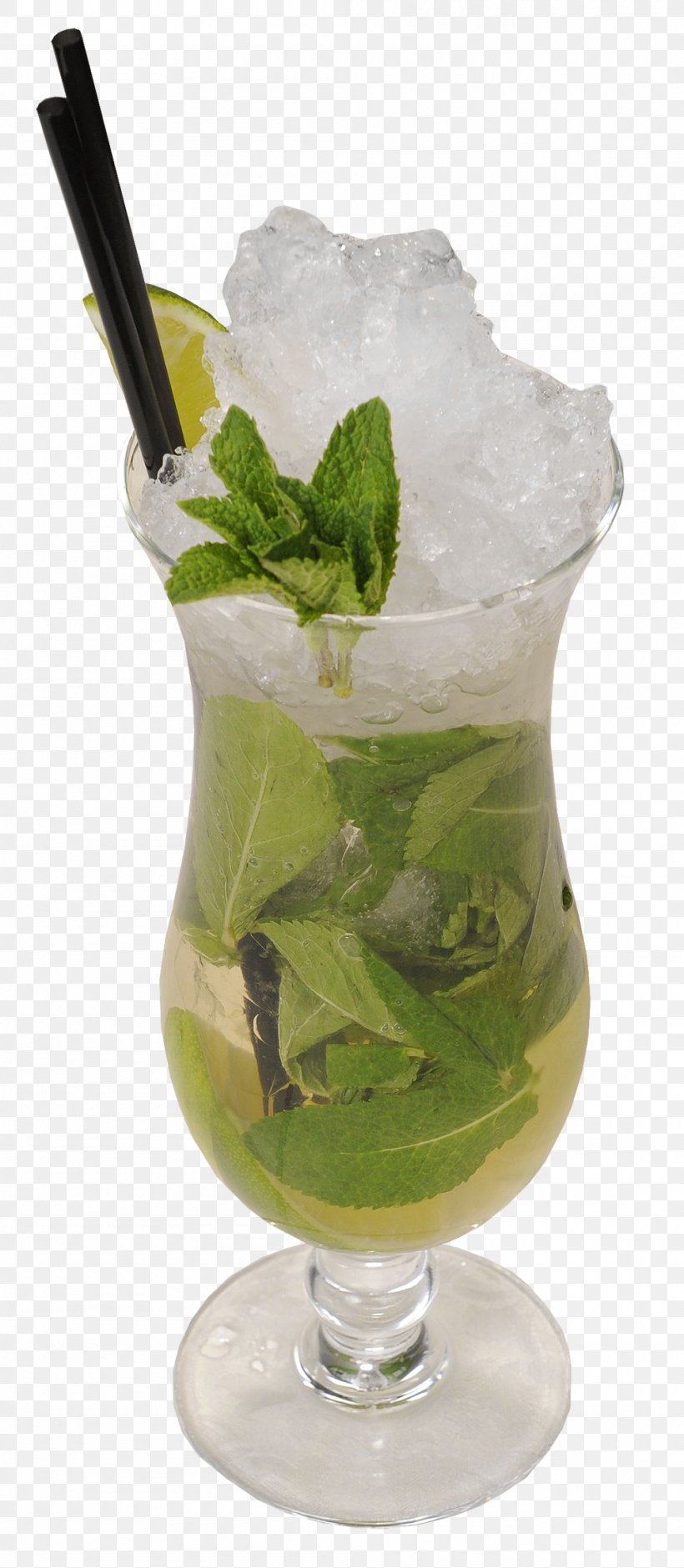 Mojito Caipirinha Cocktail Garnish Caipiroska Mint Julep, PNG, 1000x2294px, Mojito, Caipirinha, Caipiroska, Cocktail, Cocktail Garnish Download Free