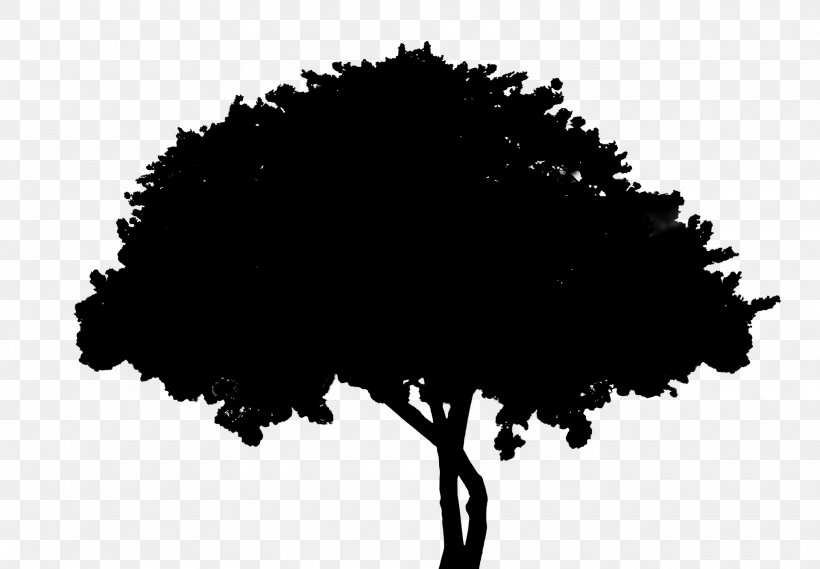 Tree Silhouette Font Leaf Sky, PNG, 1920x1333px, Tree, Black, Black M, Blackandwhite, Leaf Download Free