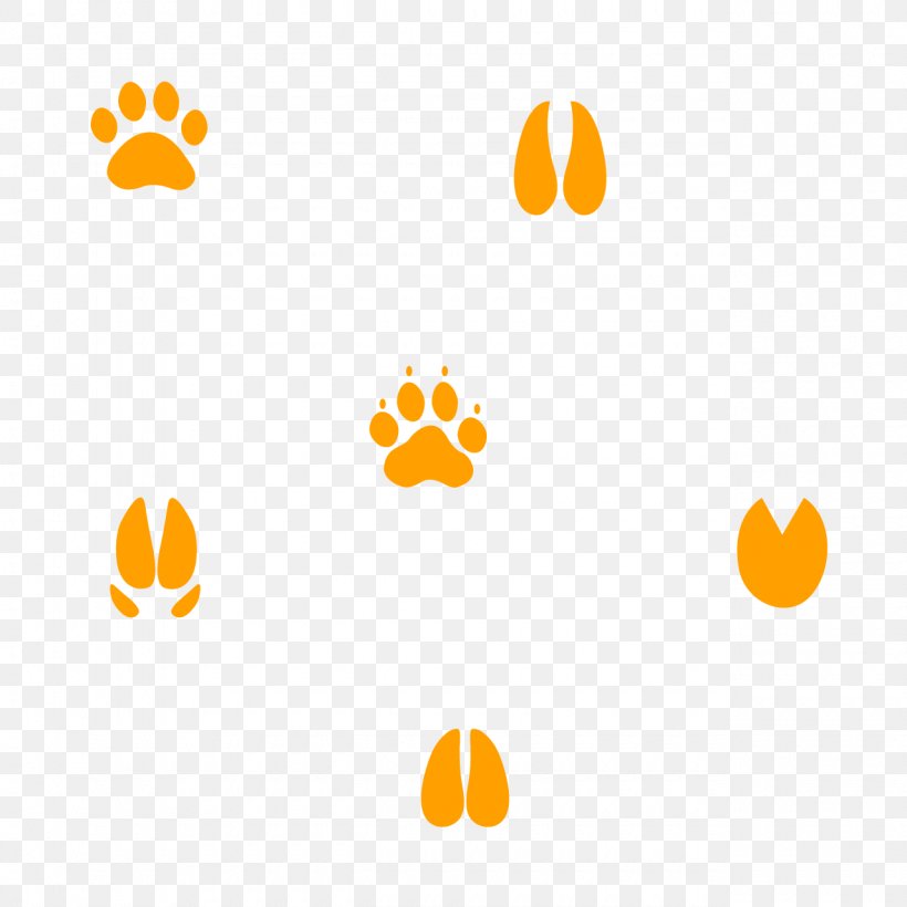 Cougar Gray Wolf Coyote Lion Animal Track, PNG, 1280x1280px, Cougar, Animal, Animal Track, Bobcat, Coyote Download Free