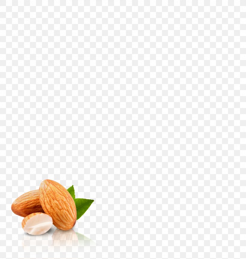 Food Nut Cashew Macadamia Snack, PNG, 942x992px, Food, Almond, Cashew, Delicacy, Dietary Fiber Download Free
