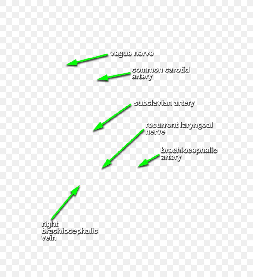 Line Diagram, PNG, 595x900px, Diagram, Area, Green, Text Download Free