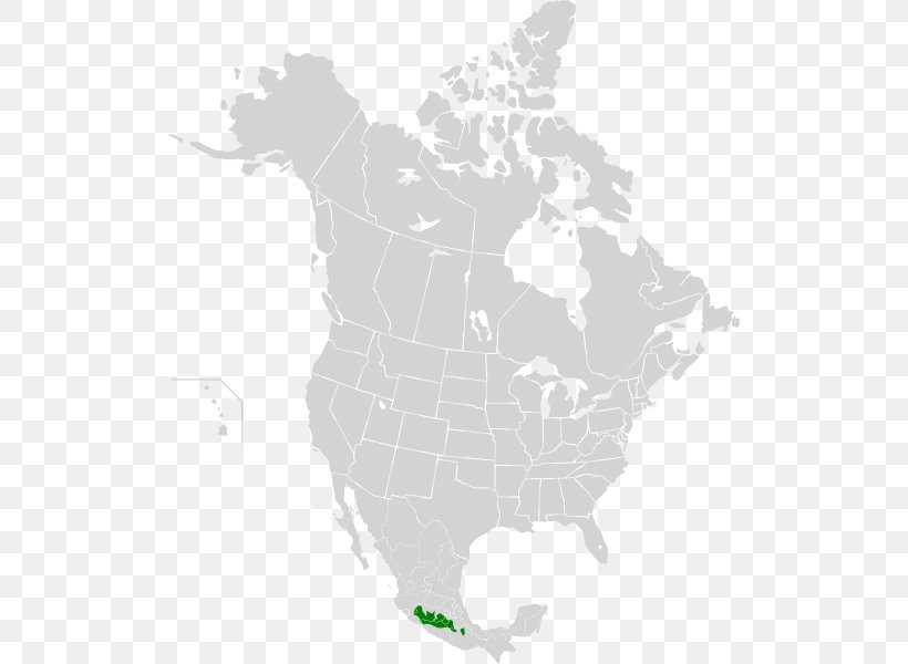 Sierra Madre Occidental Pine-oak Forests Sierra Madre Oriental Madrean Pine-oak Woodlands Trans-Mexican Volcanic Belt, PNG, 516x600px, Sierra Madre Occidental, Area, Black And White, Central Mexican Matorral, Madrean Pineoak Woodlands Download Free