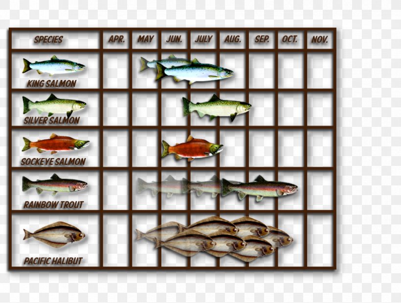Fish, PNG, 825x625px, Fish Download Free