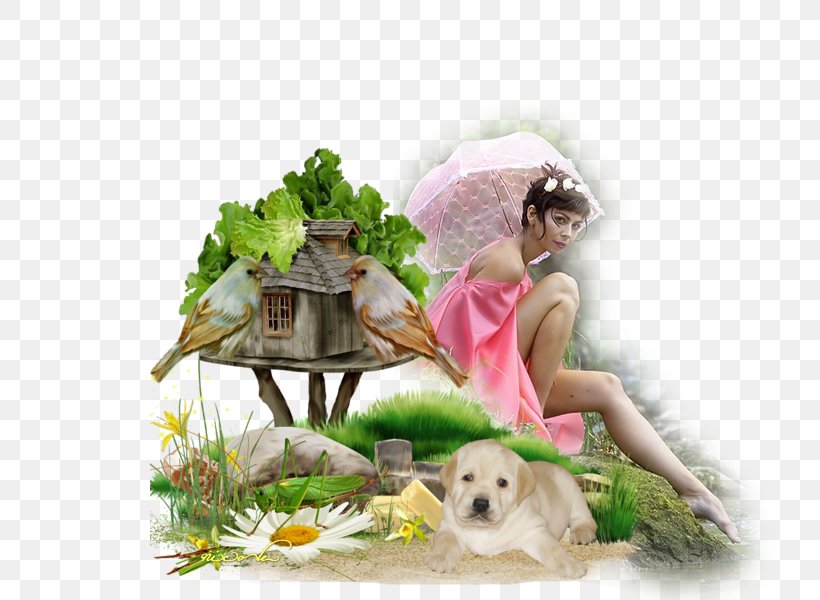 Floral Design .de Clip Art, PNG, 800x600px, Floral Design, Blog, Com, Dog, Dog Breed Download Free