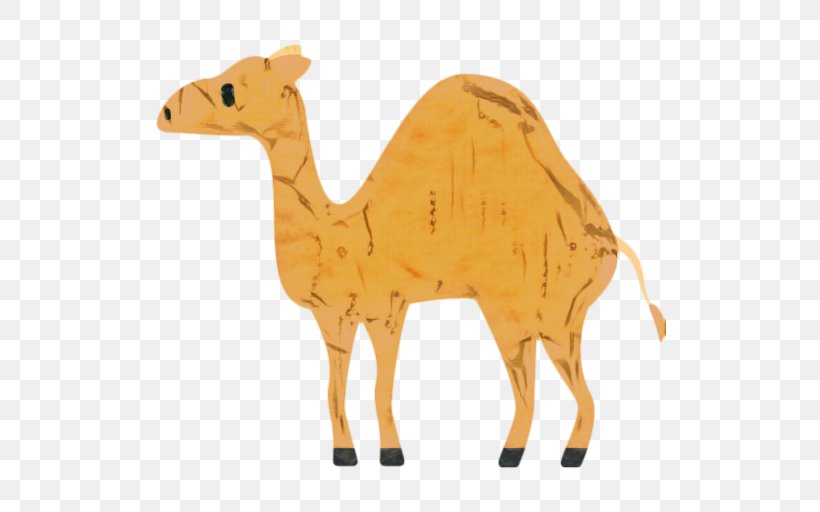 Llama Cartoon, PNG, 512x512px, Dromedary, Animal, Animal Figure, Arabian Camel, Bactrian Camel Download Free