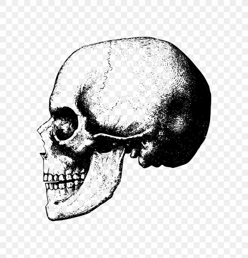 Skull Bone Skeleton Clip Art, PNG, 970x1008px, Skull, Black And White, Bone, Drawing, Head Download Free