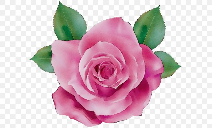 Watercolor Pink Flowers, PNG, 600x494px, Watercolor, Artificial Flower, Camellia, Cut Flowers, Floribunda Download Free