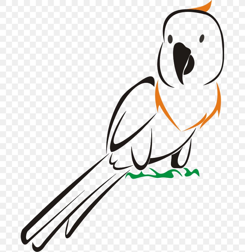 Beak Bird Logo Clip Art, PNG, 681x845px, Beak, Art, Artwork, Bird, Birdofparadise Download Free