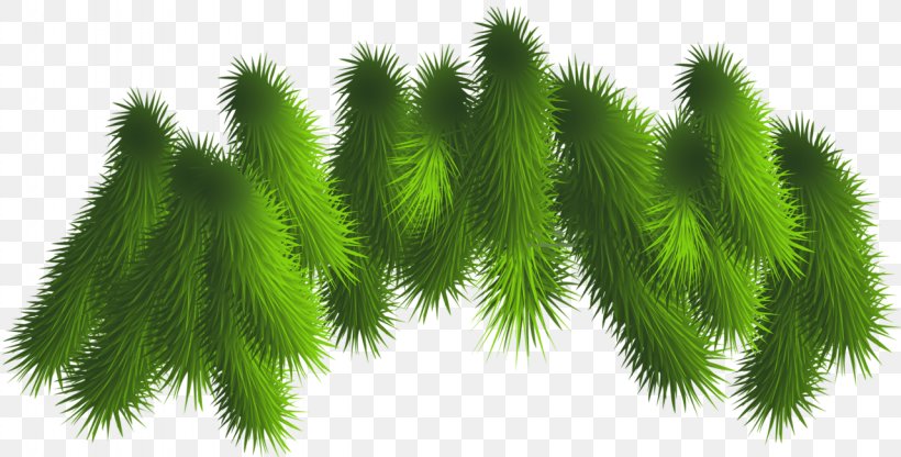 Clip Art, PNG, 1280x650px, Christmas Tree, Biome, Branch, Christmas, Christmas Decoration Download Free