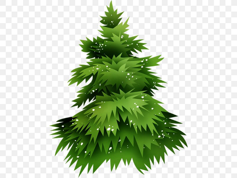 Fir Christmas Tree Christmas Ornament, PNG, 480x616px, Fir, Branch, Christmas, Christmas Ornament, Christmas Tree Download Free