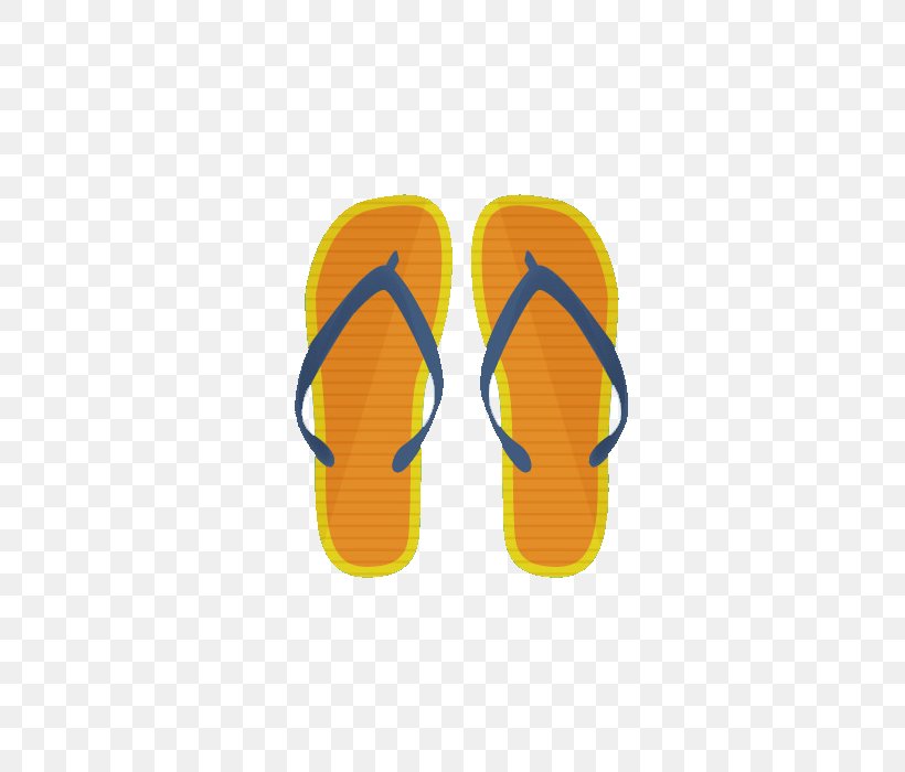 Flip-flops Slipper Swim Briefs Sandal, PNG, 700x700px, Flipflops, Beach, Brand, Designer, Flip Flops Download Free