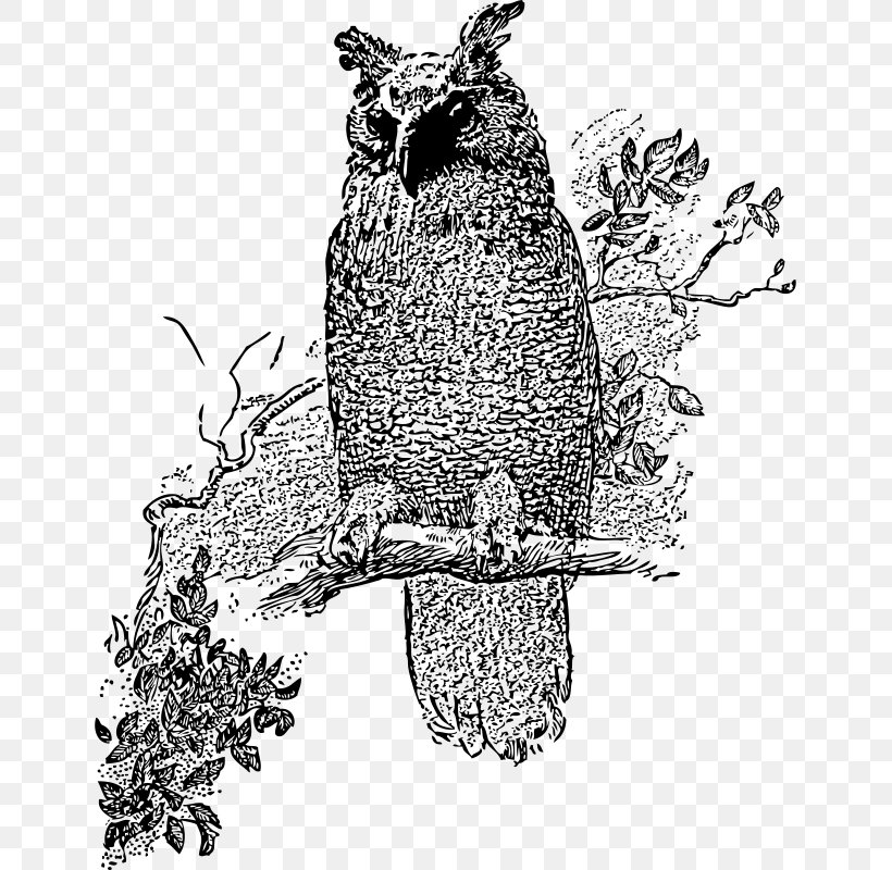 Great Horned Owl Bird Barred Owl Clip Art, PNG, 645x800px, Owl, Art, Barred Owl, Beak, Bird Download Free