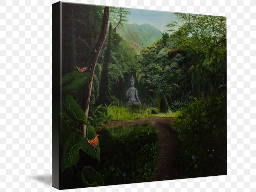 Nature Flora Rainforest Vegetation Landscape, PNG, 650x613px, Nature, Animal, Biome, Buddharupa, Butterfly Download Free