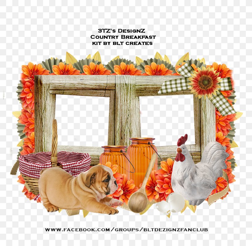 Picture Frames Food Thanksgiving, PNG, 800x800px, Picture Frames, Food, Picture Frame, Thanksgiving Download Free