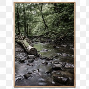 Standard Streams Images Standard Streams Transparent Png Free